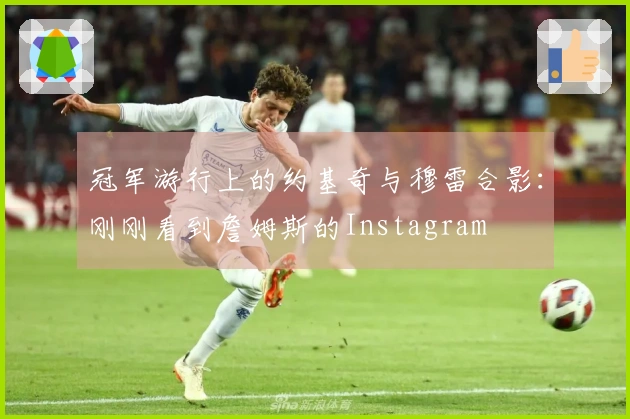 冠军游行上的约基奇与穆雷合影：刚刚看到詹姆斯的Instagram