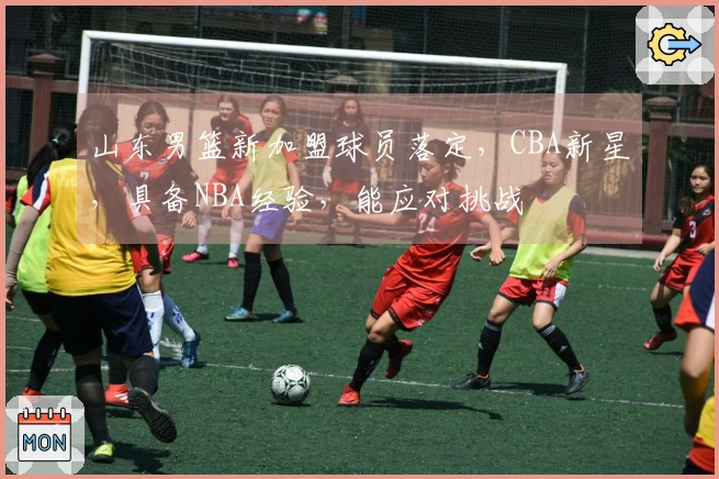 山东男篮新加盟球员落定，CBA新星，具备NBA经验，能应对挑战
